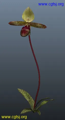 Maya模型me4322_nb5912_w256_h466_x的图片