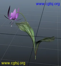 Maya模型me4382_nb5972_w256_h273_x的图片