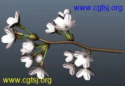 Maya模型me4396_nb5986_w256_h177_x的图片