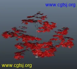 Maya模型me4428_nb6018_w256_h229_x的图片