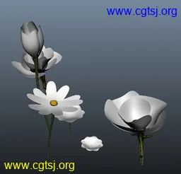 Maya模型me4436_nb6026_w256_h246_x的图片