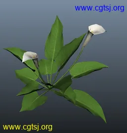 Maya模型me4444_nb6034_w256_h267_x的图片