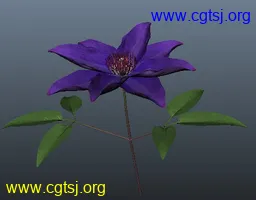 Maya模型me4456_nb6046_w256_h200_x的图片