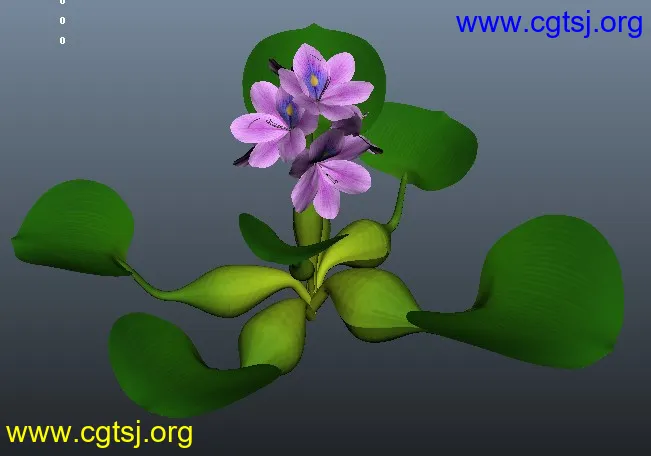 Maya模型ME4461的图片1