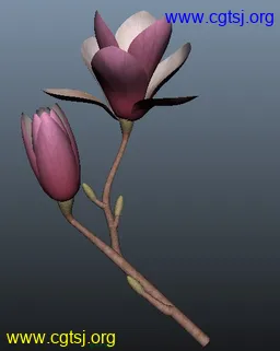 Maya模型me4466_nb6056_w256_h321_x的图片