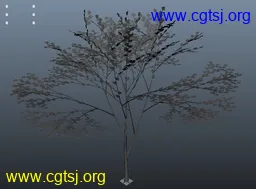 Maya模型me4530_nb6121_w256_h189_x的图片