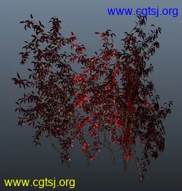 Maya模型me4569_nb6160_w256_h269_x的图片