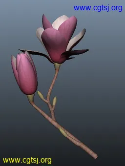 Maya模型me4604_nb6196_w256_h340_x的图片