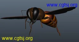Maya模型me461_nb32934_w256_h137_x的图片
