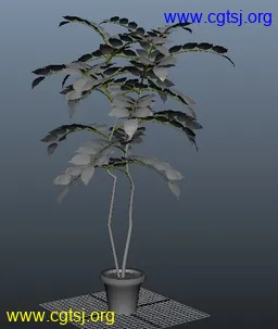 Maya模型me4635_nb6228_w256_h303_x的图片