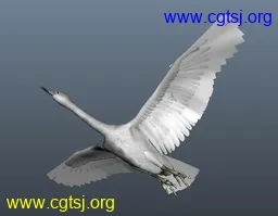 Maya模型me465_nb32942_w256_h199_x的图片
