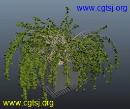Maya模型me4664_nb6257_w256_h215_x的图片