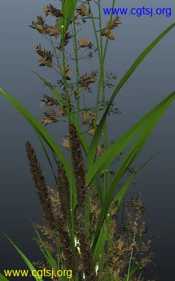 Maya模型me4666_nb6259_w256_h409_x的图片