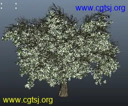 Maya模型me4692_nb6287_w256_h212_x的图片