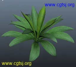 Maya模型me4698_nb6293_w256_h225_x的图片