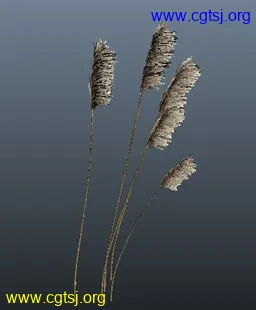 Maya模型me4791_nb6390_w256_h310_x的图片