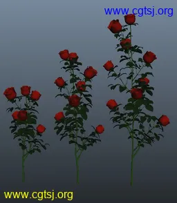 Maya模型me4807_nb6409_w256_h294_x的图片