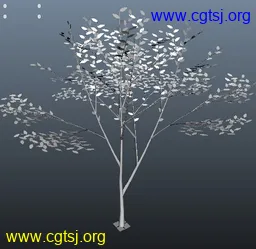 Maya模型me4823_nb6425_w256_h249_x的图片