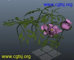 Maya模型me4921_nb6590_w256_h209_x的图片