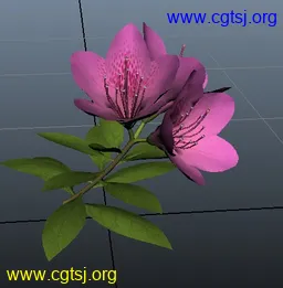 Maya模型me4950_nb6620_w256_h261_x的图片
