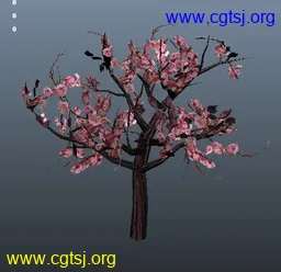 Maya模型me4994_nb6665_w256_h248_x的图片