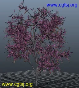 Maya模型me5001_nb6672_w256_h284_x的图片