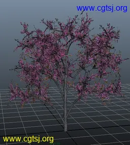 Maya模型me5002_nb6673_w256_h285_x的图片