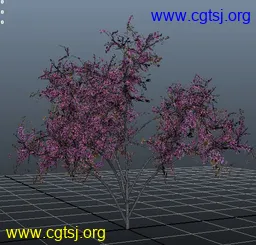 Maya模型me5003_nb6674_w256_h245_x的图片
