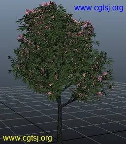 Maya模型me5010_nb6681_w256_h293_x的图片