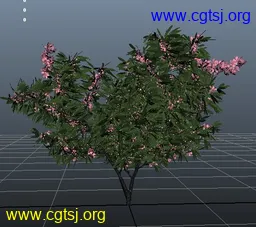 Maya模型me5011_nb6682_w256_h227_x的图片