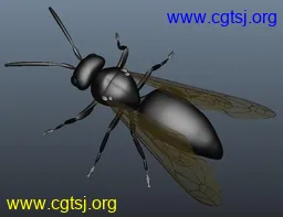 Maya模型me761_nb33320_w256_h197_x的图片