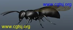 Maya模型me761_nb33321_w256_h108_x的图片