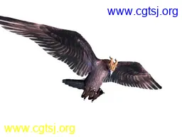 Maya模型me902_nb33513_w256_h192_x的图片