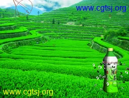 Maya模型me9294_nb11252_w256_h194_x的图片