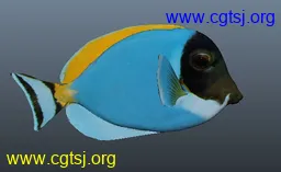 Maya模型me9915_nb11971_w256_h157_x的图片