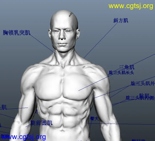 Maya模型V20929Z的预览图2